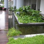 Eco Pond System in Meyer Condomenium scaled.jpg