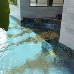 Long Skimmer Pool With Jacuzzi in 6th AvenueB.jpg
