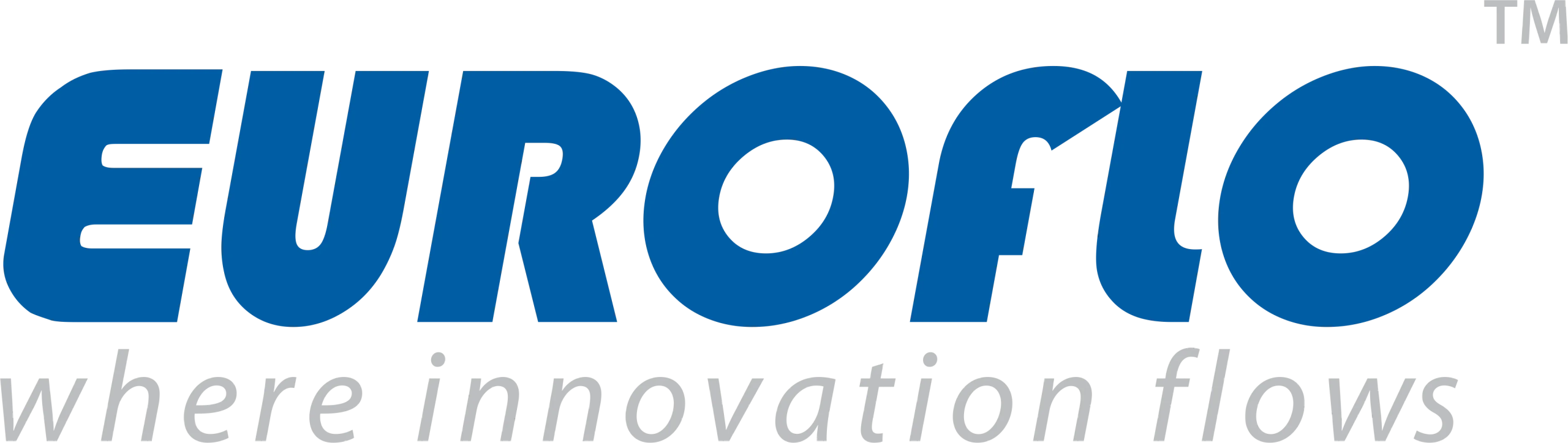 Euroflo logo scaled.png